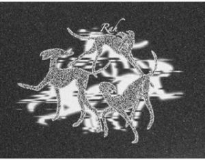 North Ryan Ruegg Griptape 