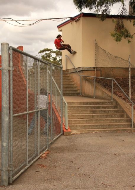 Native Format XL Scooter Raw