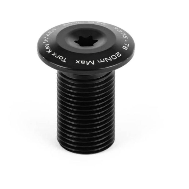 Ethic IHC Fork Top Torx Screw