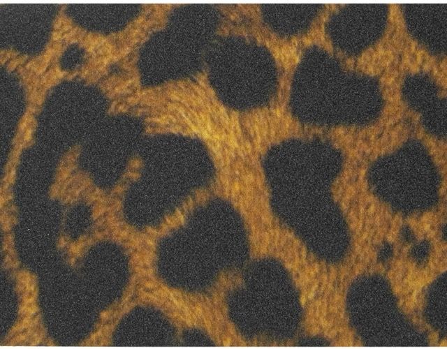 North Griptape Jaguar